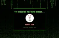 Screenshot of discovered self-hosted website from scanned IP ranges (example 5).