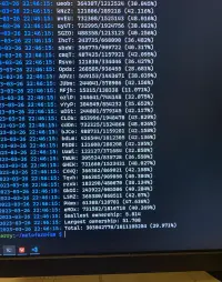 Terminal output summarizing total card counts and ownership share.